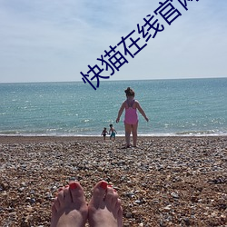 快貓在線官網入口