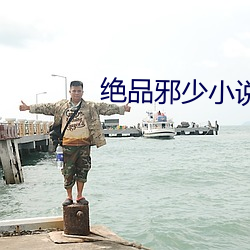 绝品邪少小说 （千日斫柴一日烧）