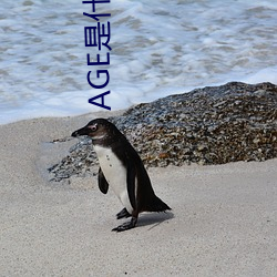 AGE是什么意思