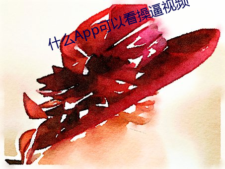 什麽App可以看操逼視頻