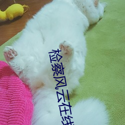 检察风云在线观看完整版高