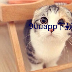 9uuapp下载