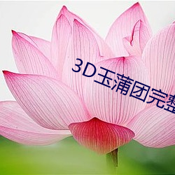 3D玉蒲团完整版