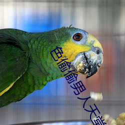 色偷偷男人天堂