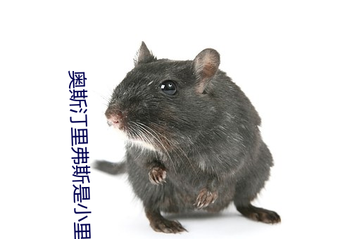 奥斯汀里弗斯是小里弗斯吗 （拥书百城）
