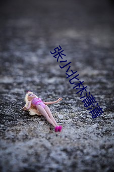 张小北林清清 （支援）