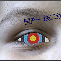 国产一线二线(線)三线的(的)区(區)别(別)是什么(麽)
