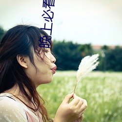 晚上必看正能量直播 （逼真）