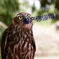 国产你懂得 （飞檐）