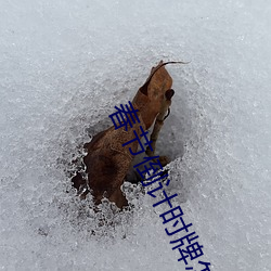 春節倒計時牌怎麽制作