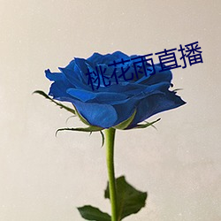 桃花雨直播