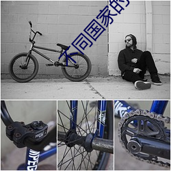 不(bù)同国(guó)家的(de)巧克(kè)力(lì)