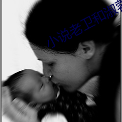 小(xiǎo)说老卫和(hé)淑(shū)蓉全集(jí)小说