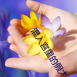 混入宫里的假太监海晨