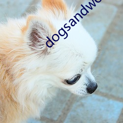 dogsandwomenmakel