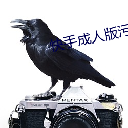 快手成人版污