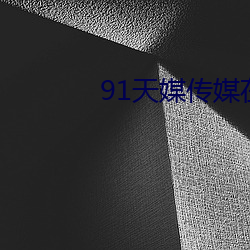 91天(天)媒(媒)传(傳)媒在线视(視)频2023