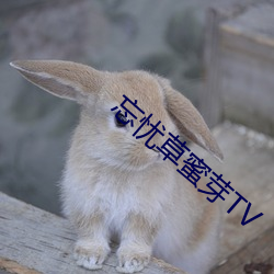 忘忧(yōu)草(cǎo)蜜芽TV