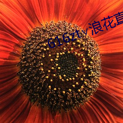 616zt∨浪花直播 （诵读）