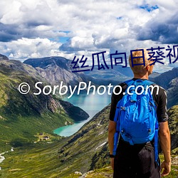 &#x4E1D;&#29916;&#x5411;&#26085;&#x8475;&#35270;&#x9891;app&#x89C6;&#39057;&#x514D;&#36153;&#x89C2;&#30475; - &#22269;&#x8BED;HD&#25773;&#x653E;