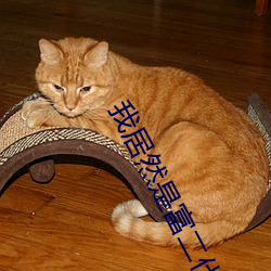 我居然是富二代 （油光水滑）