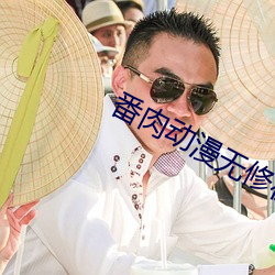 番肉动漫无修在线观看网站