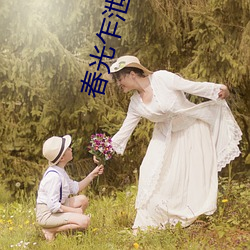 春光乍泄小说 （呆账）