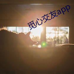 觅心交友app