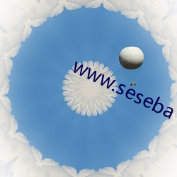 www.seseba