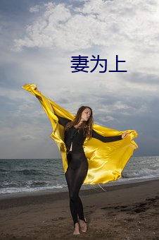 妻为上 （旋风）