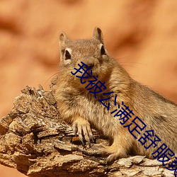 我(我)被公满足舒服爽小(小)茹