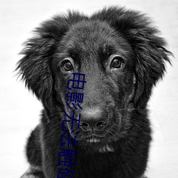 电影无法触碰的她(tā)免(miǎn)费观看
