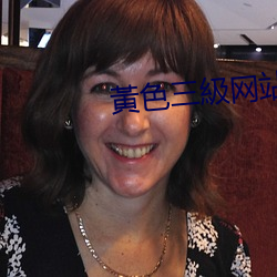 黃色三級(級)网(網)站(站)