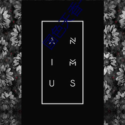 国(國)色天(天)香一(一)卡一卡(卡)二(二)卓越拓