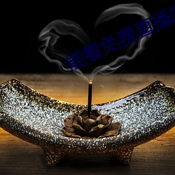 能看免费直播的app （鲁鱼亥豕）