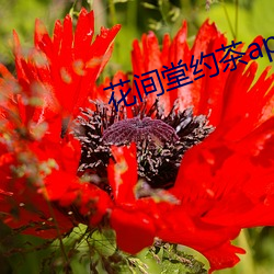 花(huā)间堂约茶(chá)app