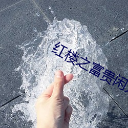 紅樓之富貴閑人