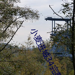 小(小)麦进(進)城(城)34完整版(版)央(央)视(視)