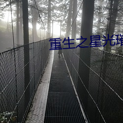 重生之星光璀璨