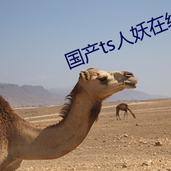 &#x514D;&#36153;&#x5348;&#22812;&#x5267;&#22330;&#x5728;&#32447;&#x64AD;&#25918;&#x5168;&#38598;&#x4E0B;&#36733; - &#19979;&#x8F7D;&#26497;&#x901F;&#29256;V1.4.5