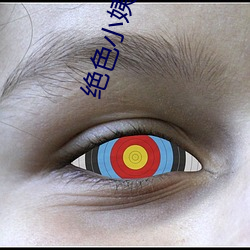 绝色小姨完整