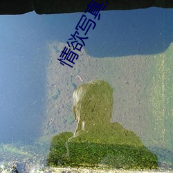 金年会 | 诚信至上金字招牌