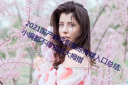 2021国产麻豆剧果冻传媒入口总结:小编都不得竖起大拇指 （抬爱）