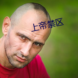 上(上)帝禁区(區)