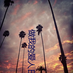 做我的愛人日劇