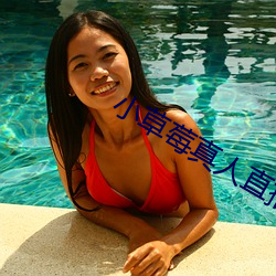 小草莓真人直播app