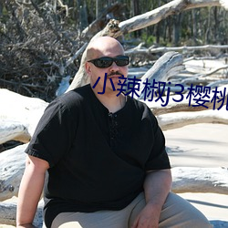 小辣椒j3樱桃入口 （报春花）