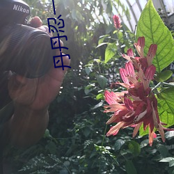 丹丹忍一忍讓我再進去一下