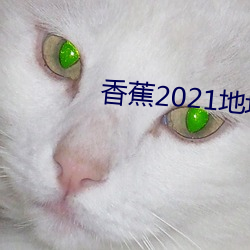 香蕉2021地址一地址二