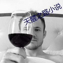 天醒之路小說
